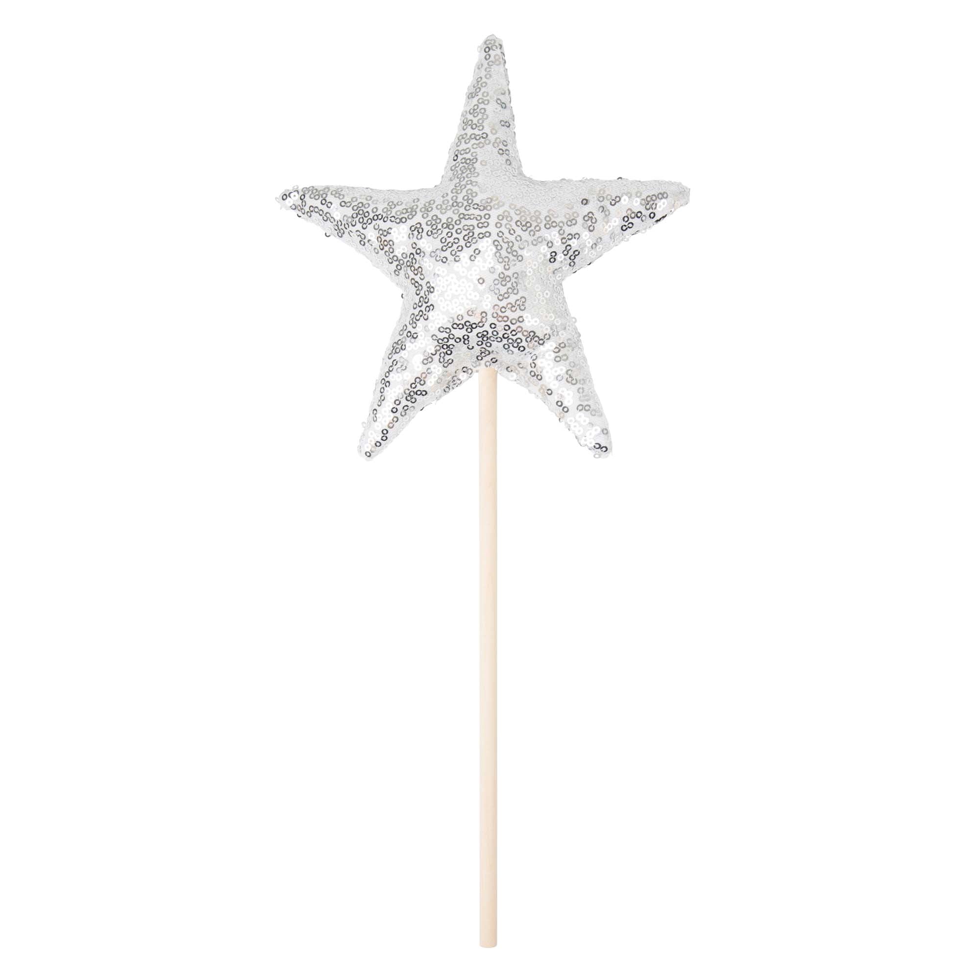 Princess Party Crown & Wand Set - Silver - Designer Kidz